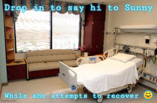 She's recovering from a really bad toxin. | Drop in to say hi to Sunny; While she attempts to recover 😊 | image tagged in get better sunny,or die,you know cuz you could do that too | made w/ Imgflip meme maker