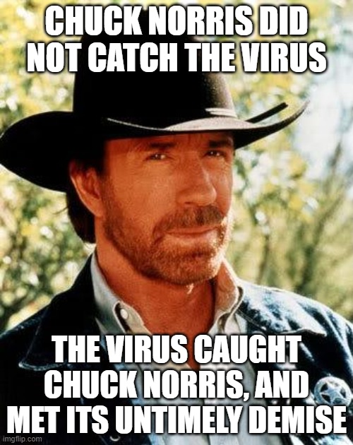Chuck Norris | CHUCK NORRIS DID NOT CATCH THE VIRUS; THE VIRUS CAUGHT CHUCK NORRIS, AND MET ITS UNTIMELY DEMISE | image tagged in memes,chuck norris | made w/ Imgflip meme maker