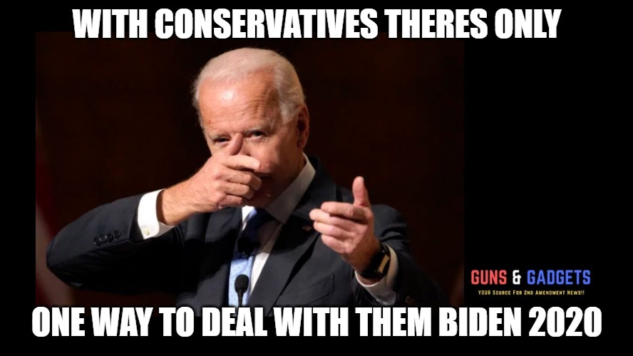 I think you might want to rethink that | WITH CONSERVATIVES THERES ONLY; ONE WAY TO DEAL WITH THEM BIDEN 2020 | image tagged in biden,2020,memes,scary,hate,funny | made w/ Imgflip meme maker