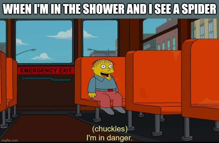 You'd better believe I fricking bolted out of the bathroom though | WHEN I'M IN THE SHOWER AND I SEE A SPIDER | image tagged in i'm in danger | made w/ Imgflip meme maker