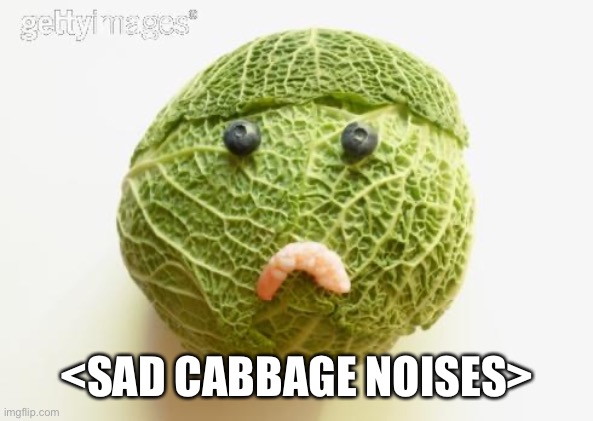 sad cabbage | <SAD CABBAGE NOISES> | image tagged in sad cabbage | made w/ Imgflip meme maker