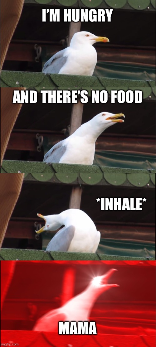 Inhaling Seagull | I’M HUNGRY; AND THERE’S NO FOOD; *INHALE*; MAMA | image tagged in memes,inhaling seagull | made w/ Imgflip meme maker
