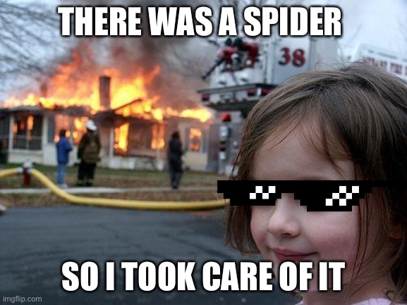 Disaster Girl Meme | THERE WAS A SPIDER; SO I TOOK CARE OF IT | image tagged in memes,disaster girl | made w/ Imgflip meme maker