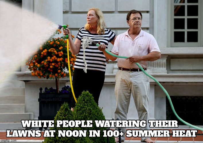 image tagged in mccloskeys,white people,lawns,summer,summer time,heatwave | made w/ Imgflip meme maker