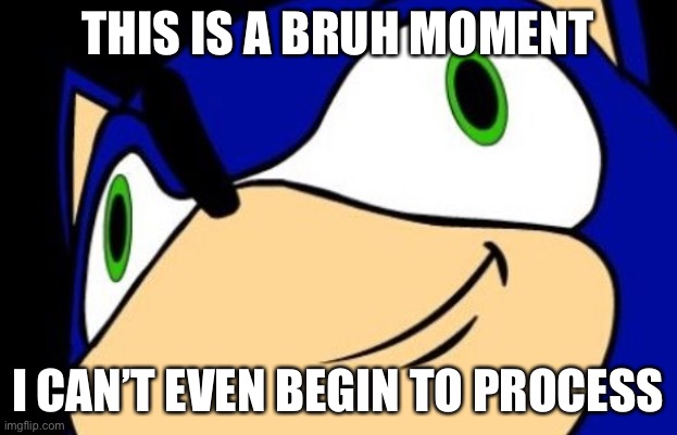 Bruh Moment | THIS IS A BRUH MOMENT; I CAN’T EVEN BEGIN TO PROCESS | image tagged in bruh moment,sonic the hedgehog | made w/ Imgflip meme maker