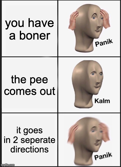 Panik Kalm Panik Meme | you have a boner; the pee comes out; it goes in 2 seperate directions | image tagged in memes,panik kalm panik | made w/ Imgflip meme maker