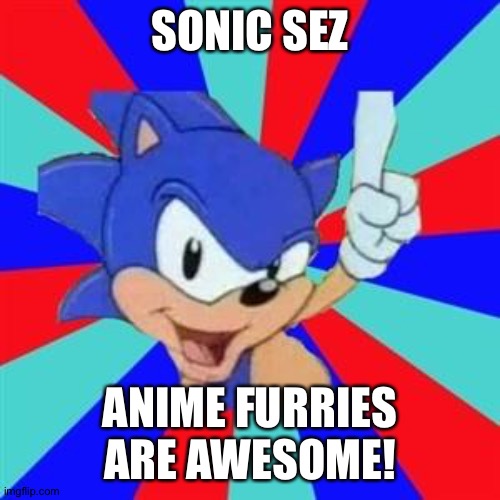 Sonic sez | SONIC SEZ; ANIME FURRIES ARE AWESOME! | image tagged in sonic sez | made w/ Imgflip meme maker
