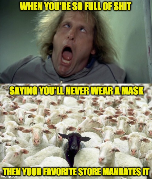 When You Become A Sheep | WHEN YOU'RE SO FULL OF SHIT 
 
 
 
 
 
 
 
SAYING YOU'LL NEVER WEAR A MASK; THEN YOUR FAVORITE STORE MANDATES IT | image tagged in memes,scary harry,black sheep,political humor,political meme,sheeple | made w/ Imgflip meme maker