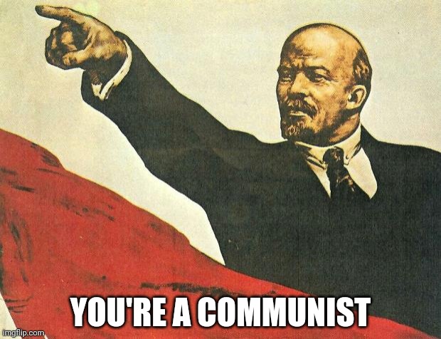 ...you're a communist | YOU'RE A COMMUNIST | image tagged in you're a communist | made w/ Imgflip meme maker