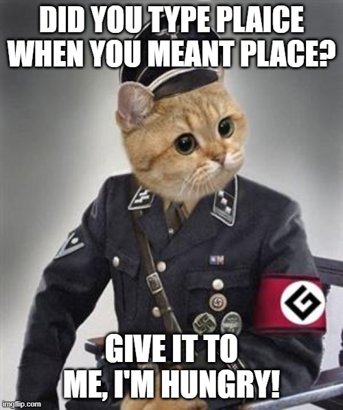 Grammar Nazi Cat | DID YOU TYPE PLAICE WHEN YOU MEANT PLACE? GIVE IT TO ME, I'M HUNGRY! | image tagged in grammar nazi cat,grammar nazi,grammar,funny cat memes,cat meme,cat memes | made w/ Imgflip meme maker