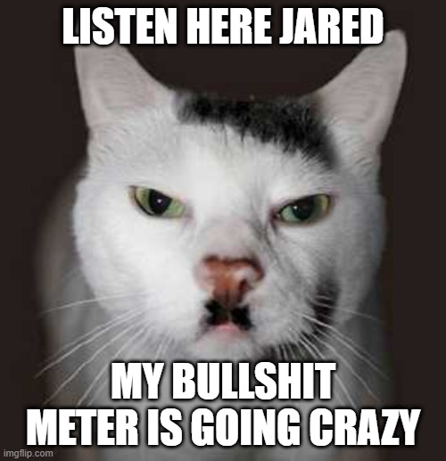 Nazi Cat | LISTEN HERE JARED; MY BULLSHIT METER IS GOING CRAZY | image tagged in nazi cat,bullshit meter,grammar nazi cat,funny cat memes,cat meme,cat memes | made w/ Imgflip meme maker