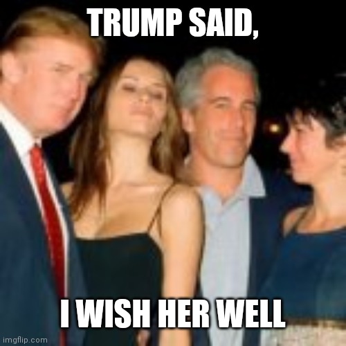 Trump Said | TRUMP SAID, I WISH HER WELL | image tagged in trump,jeffrey epstein | made w/ Imgflip meme maker