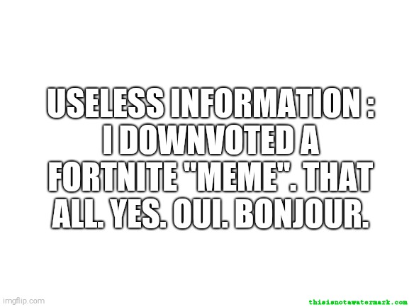 Useless information. | USELESS INFORMATION :
I DOWNVOTED A FORTNITE "MEME". THAT ALL. YES. OUI. BONJOUR. thisisnotawatermark.com | image tagged in blank white template | made w/ Imgflip meme maker