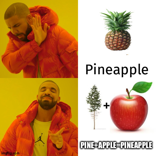Another | Pineapple; +; PINE+APPLE=PINEAPPLE | image tagged in memes,drake hotline bling | made w/ Imgflip meme maker