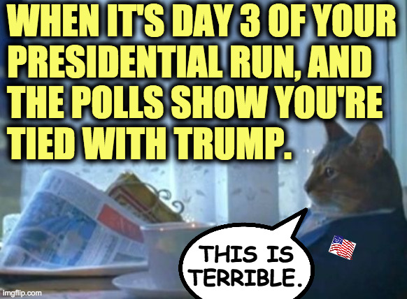 Politics are not for the faint of heart. | WHEN IT'S DAY 3 OF YOUR
PRESIDENTIAL RUN, AND
THE POLLS SHOW YOU'RE
TIED WITH TRUMP. THIS IS TERRIBLE. | image tagged in memes,i should buy a boat cat,day 3,bad polls,politics | made w/ Imgflip meme maker