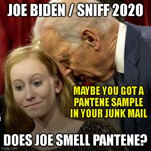 JOE BIDEN / SNIFF 2020; MAYBE YOU GOT A
PANTENE SAMPLE
IN YOUR JUNK MAIL; DOES JOE SMELL PANTENE? | made w/ Imgflip meme maker
