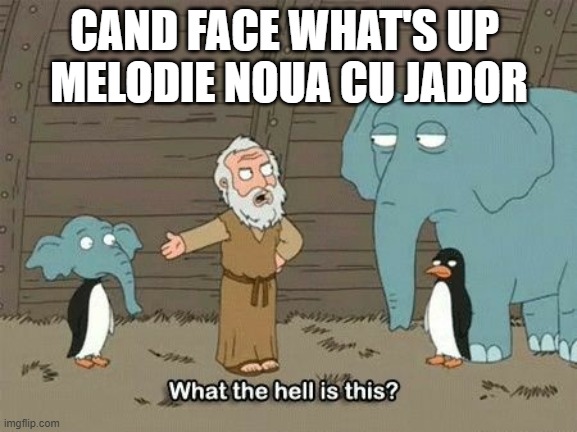 Elephant Penguin Meme | CAND FACE WHAT'S UP 
MELODIE NOUA CU JADOR | image tagged in elephant penguin meme | made w/ Imgflip meme maker