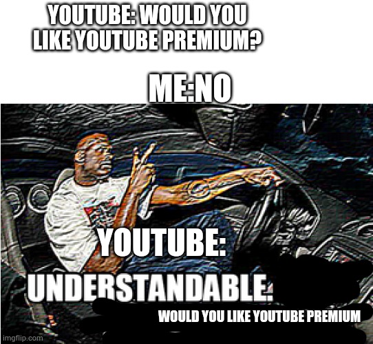 UNDERSTANDABLE, HAVE A GREAT DAY | YOUTUBE: WOULD YOU LIKE YOUTUBE PREMIUM? ME:NO; YOUTUBE:; WOULD YOU LIKE YOUTUBE PREMIUM | image tagged in understandable have a great day | made w/ Imgflip meme maker