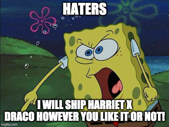 spongebob | HATERS; I WILL SHIP HARRIET X DRACO HOWEVER YOU LIKE IT OR NOT! | image tagged in spongebob | made w/ Imgflip meme maker