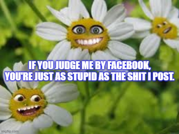 JudgeMeByFacebook | IF YOU JUDGE ME BY FACEBOOK, YOU'RE JUST AS STUPID AS THE SHIT I POST. | image tagged in judging,facebook,posting | made w/ Imgflip meme maker