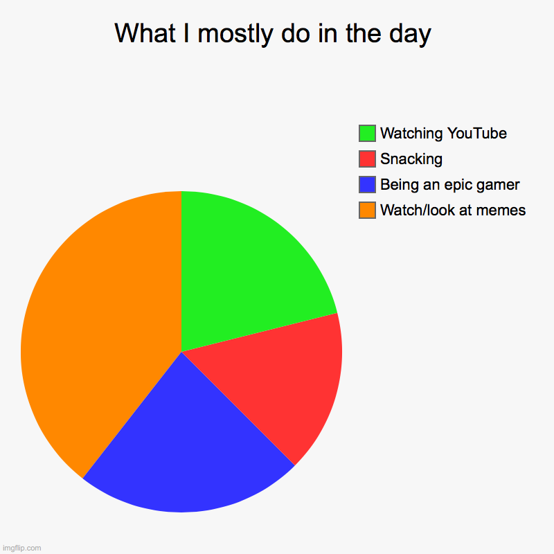 What I mostly do in the day | Watch/look at memes, Being an epic gamer, Snacking, Watching YouTube | image tagged in charts,pie charts | made w/ Imgflip chart maker