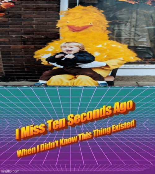 Cursed Big Bird from Sesame Street | image tagged in i miss ten seconds ago,big bird,sesame street,funny,cursed image,memes | made w/ Imgflip meme maker