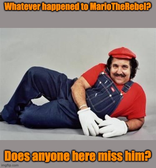 Pervert Mario |  Whatever happened to MarioTheRebel? Does anyone here miss him? | image tagged in pervert mario | made w/ Imgflip meme maker