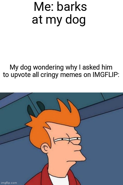 Dog imgflip | Me: barks at my dog; My dog wondering why I asked him to upvote all cringy memes on IMGFLIP: | image tagged in memes,futurama fry | made w/ Imgflip meme maker