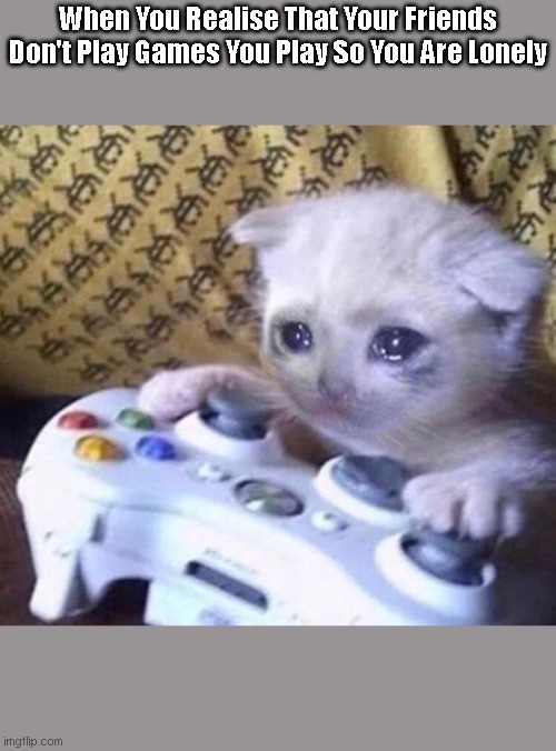 Realised My Friends Don't Play Games I Play | When You Realise That Your Friends Don't Play Games You Play So You Are Lonely | image tagged in sad gamer cat | made w/ Imgflip meme maker
