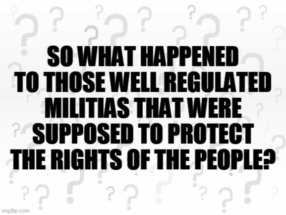 What happened to the well armed militias? | SO WHAT HAPPENED TO THOSE WELL REGULATED MILITIAS THAT WERE SUPPOSED TO PROTECT THE RIGHTS OF THE PEOPLE? | image tagged in militia,portland,protests | made w/ Imgflip meme maker