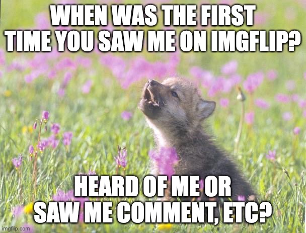 Im curious mostly cuz I have a horrible memory and forget everything XD | WHEN WAS THE FIRST TIME YOU SAW ME ON IMGFLIP? HEARD OF ME OR SAW ME COMMENT, ETC? | image tagged in memes,baby insanity wolf,i hope you guys remember,cuz its fun to see this,nnrtt,and im out of creative tags | made w/ Imgflip meme maker