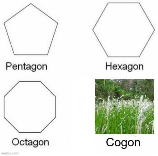 Pentagon Hexagon Octagon | Cogon | image tagged in memes,pentagon hexagon octagon | made w/ Imgflip meme maker