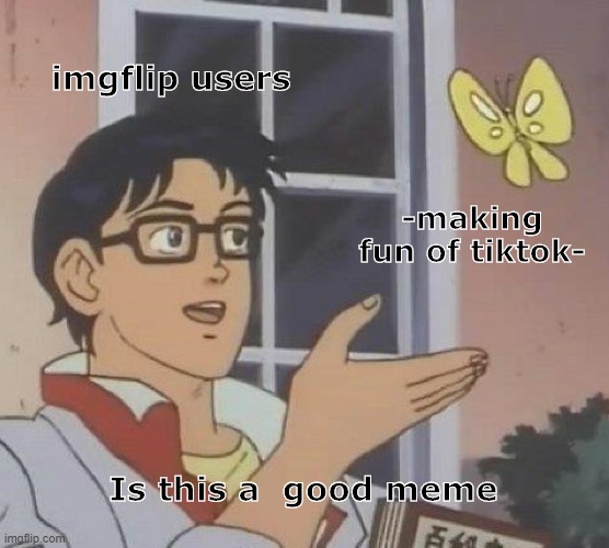 haha tiktok bad | imgflip users; -making fun of tiktok-; Is this a  good meme | image tagged in memes,is this a pigeon | made w/ Imgflip meme maker