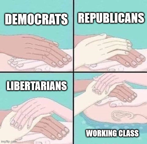 drowned | REPUBLICANS; DEMOCRATS; LIBERTARIANS; WORKING CLASS | image tagged in drowned,democrats,libertarian,republicans | made w/ Imgflip meme maker