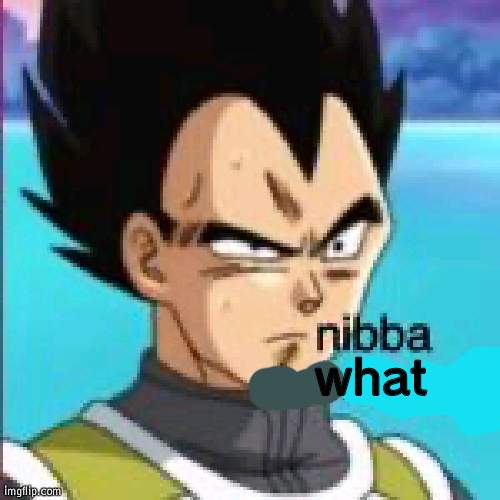 confused vegeta | what | image tagged in confused vegeta | made w/ Imgflip meme maker