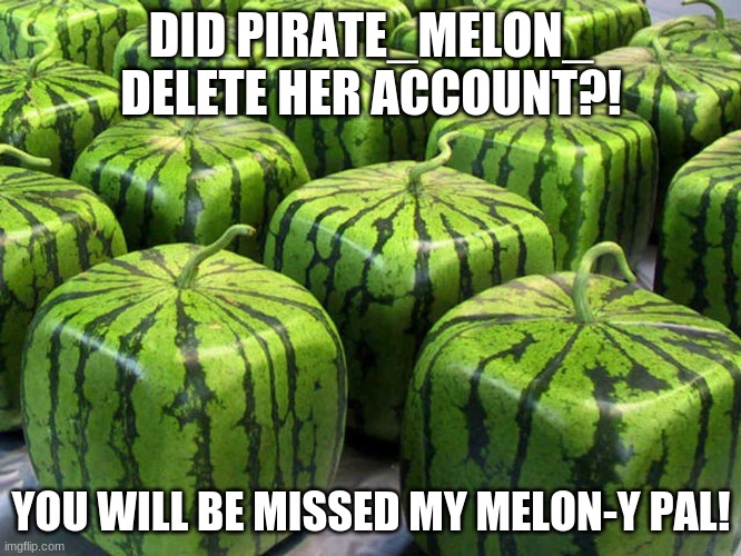 (sheds a tear) "Goodbye, old friend."   -Ash Ketchum | DID PIRATE_MELON_ DELETE HER ACCOUNT?! YOU WILL BE MISSED MY MELON-Y PAL! | image tagged in minecraft melons | made w/ Imgflip meme maker