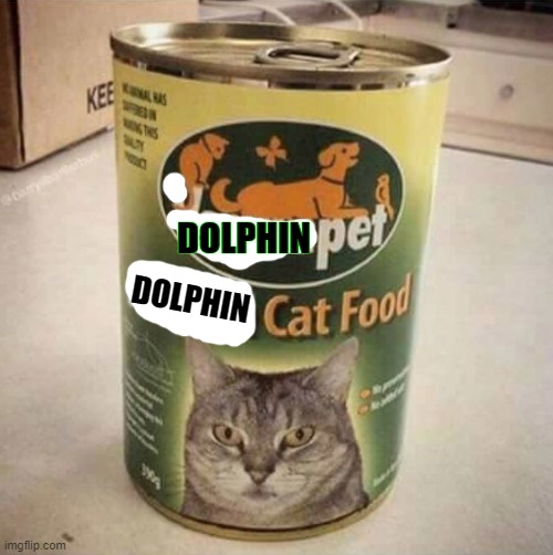 vegan cat food | DOLPHIN; DOLPHIN | image tagged in vegan cat food | made w/ Imgflip meme maker