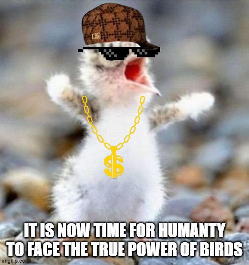 Early Bird!!! | IT IS NOW TIME FOR HUMANTY TO FACE THE TRUE POWER OF BIRDS | image tagged in early bird | made w/ Imgflip meme maker