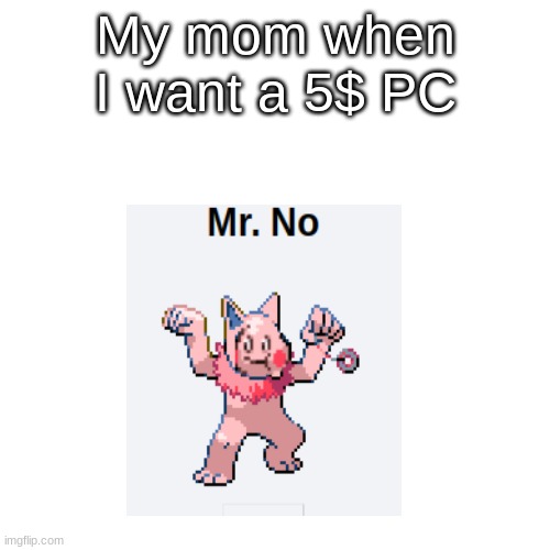 BLANK | My mom when I want a 5$ PC | image tagged in blank | made w/ Imgflip meme maker