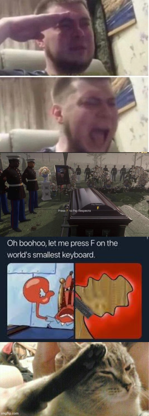 image tagged in press f to pay respects,crying salute,let me press f on the worlds smallest keyboard,press f cat | made w/ Imgflip meme maker