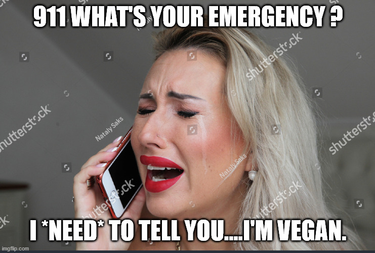 vegan | 911 WHAT'S YOUR EMERGENCY ? I *NEED* TO TELL YOU....I'M VEGAN. | image tagged in vegan,911 | made w/ Imgflip meme maker