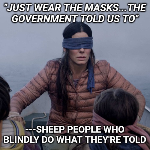 Bird Box | "JUST WEAR THE MASKS...THE GOVERNMENT TOLD US TO"; ---SHEEP PEOPLE WHO BLINDLY DO WHAT THEY'RE TOLD | image tagged in memes,bird box | made w/ Imgflip meme maker