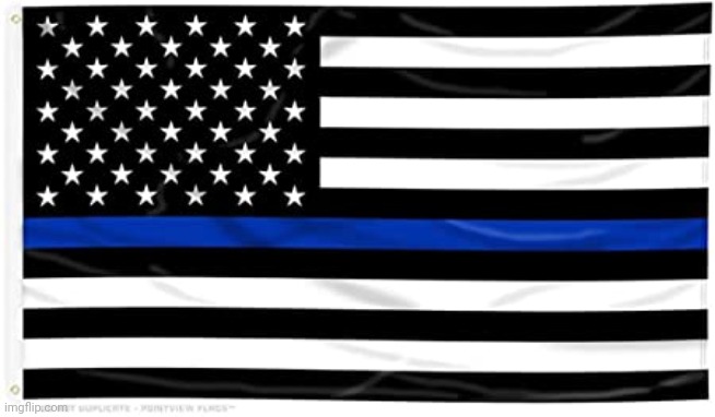 Thin blue line | image tagged in thin blue line | made w/ Imgflip meme maker