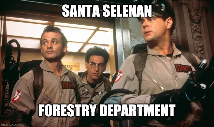 SANTA SELENAN; FORESTRY DEPARTMENT | made w/ Imgflip meme maker