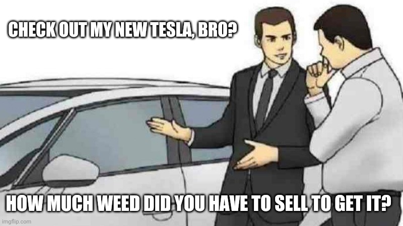 Why I have no friends. | CHECK OUT MY NEW TESLA, BRO? HOW MUCH WEED DID YOU HAVE TO SELL TO GET IT? | image tagged in memes,car salesman slaps roof of car | made w/ Imgflip meme maker