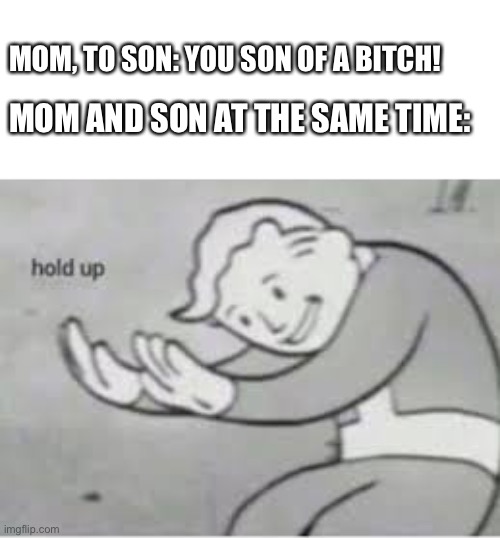 Hol up | MOM, TO SON: YOU SON OF A BITCH! MOM AND SON AT THE SAME TIME: | image tagged in hol up | made w/ Imgflip meme maker
