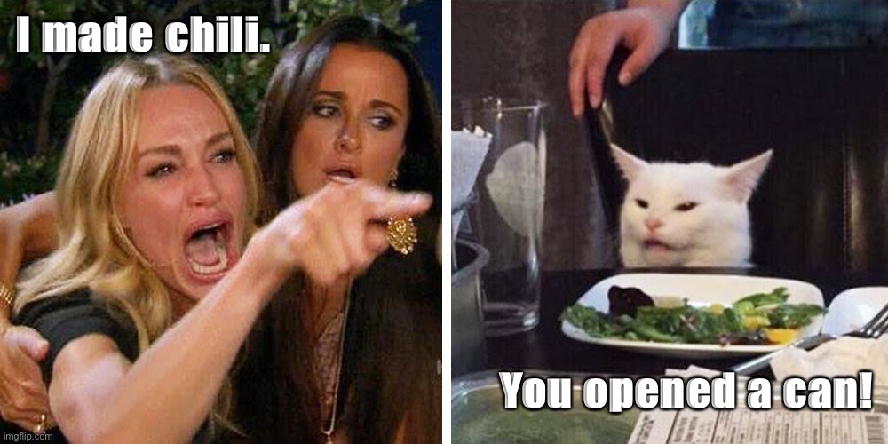 Woman yelling at a cat | I made chili. You opened a can! | image tagged in smudge the cat | made w/ Imgflip meme maker