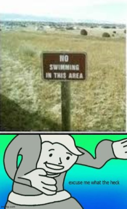 this is terribly unnecessary... | image tagged in excuse me what the heck,memes,funny,stupid signs,swimming | made w/ Imgflip meme maker