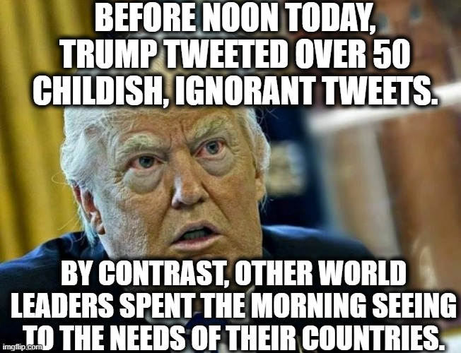 Sounds about right (2) | BEFORE NOON TODAY, TRUMP TWEETED OVER 50 CHILDISH, IGNORANT TWEETS. BY CONTRAST, OTHER WORLD LEADERS SPENT THE MORNING SEEING TO THE NEEDS OF THEIR COUNTRIES. | image tagged in donald trump,twitter,moron,losing,fail,covid-19 | made w/ Imgflip meme maker
