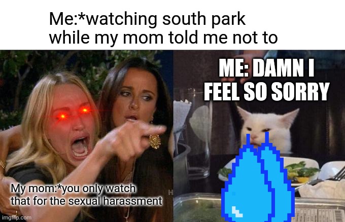 Me and south park | Me:*watching south park while my mom told me not to; ME: DAMN I FEEL SO SORRY; My mom:*you only watch that for the sexual harassment | image tagged in memes,woman yelling at cat | made w/ Imgflip meme maker